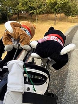 赤柴 KAWASAKI ZX-12R ZXT20B – 京都のバイクショップSPEC-M